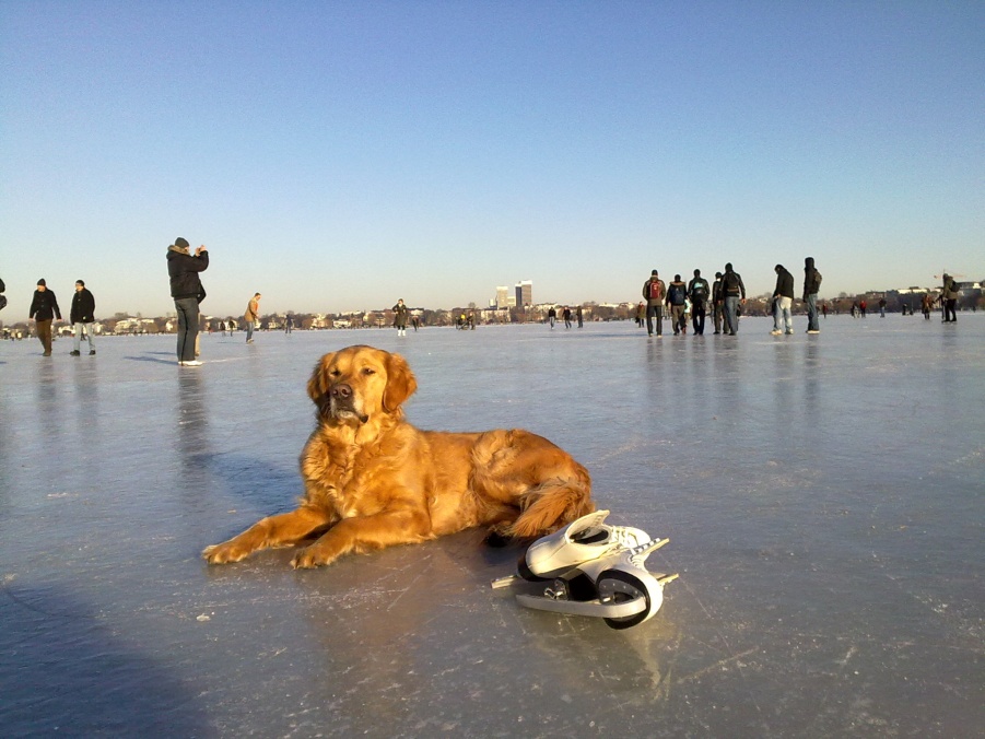 Outer Alster lake in winter 5