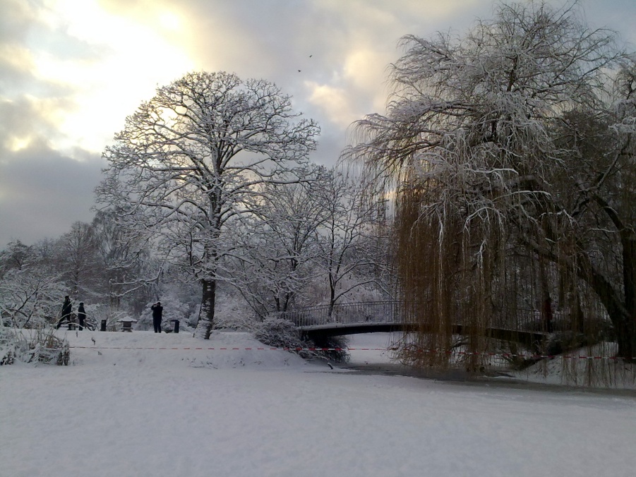 Snow impression viewed from Outer Alster lake